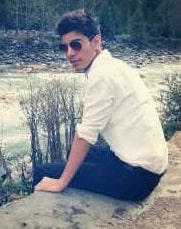 Gigolo Job
