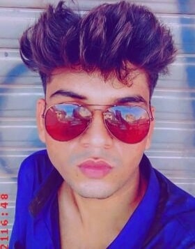 Gigolo Job